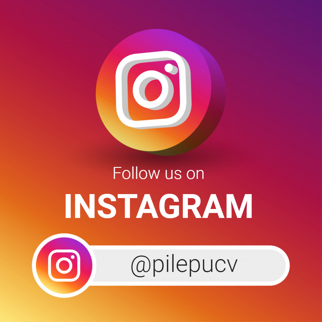 IG @pilepucv “Programa de Inglés PUCV”